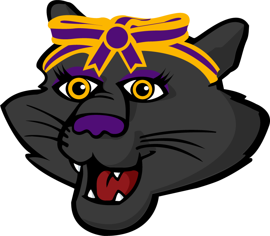 Northern Iowa Panthers 2021-Pres Mascot Logo t shirts iron on transfers
